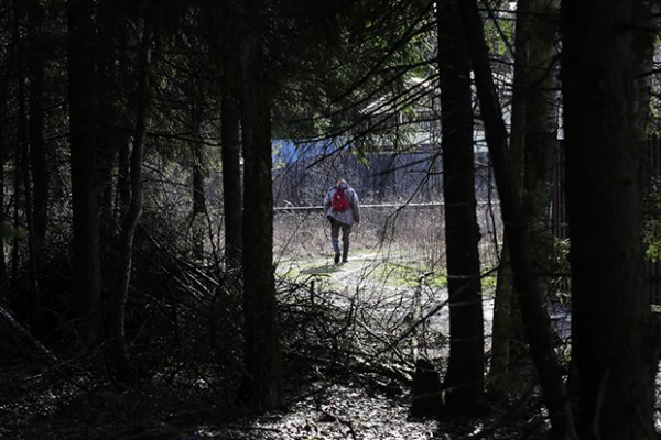 Кракен сайт kr2web in цены