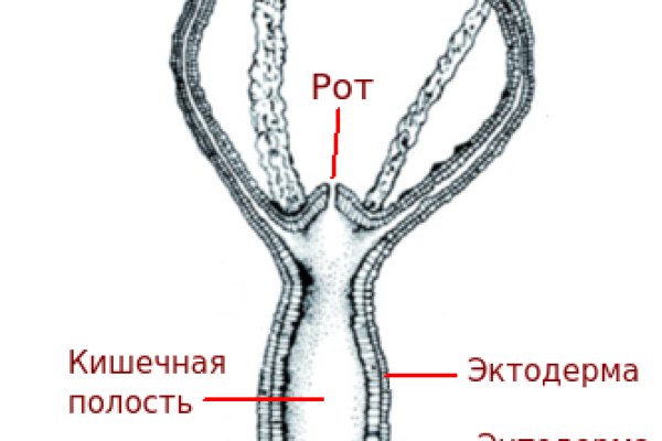 Kraken рабочее зеркало