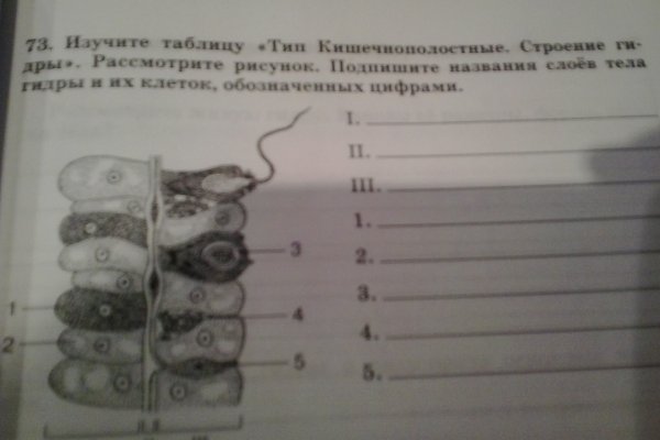 Kraken 12 at сайт