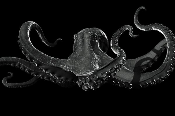 Kraken 25 at