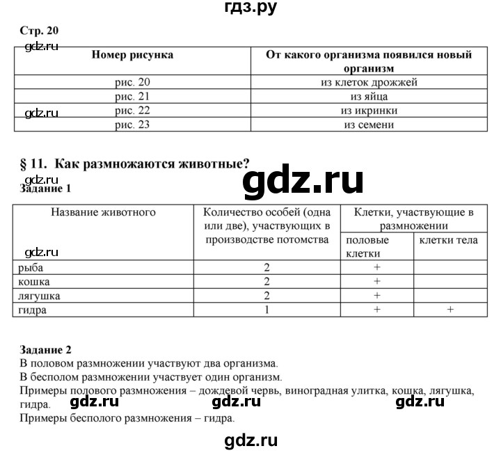Кракен сайт 2krnk cc